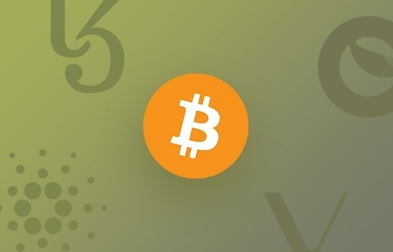 Top 5 cryptocurrencies to watch out for this week